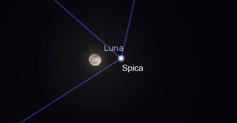 LunaSpica